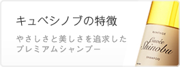 キュベシノブの特徴